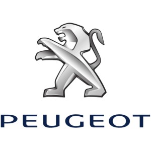 Barras portaequipaje para furgonetas, furgones y vehículos Peugeot